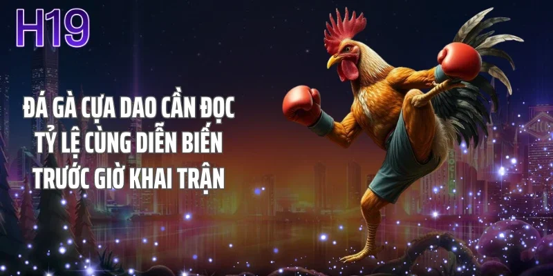 Đá gà cựa dao cần đọc tỷ lệ cùng diễn biến trước giờ khai trận