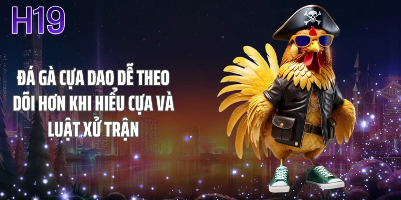 Đá gà cựa dao dễ theo dõi hơn khi hiểu cựa và luật xử trận