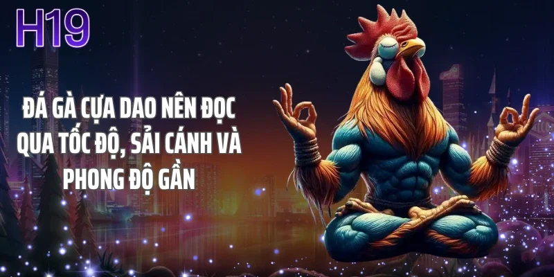 Đá gà cựa dao nên đọc qua tốc độ, sải cánh và phong độ gần