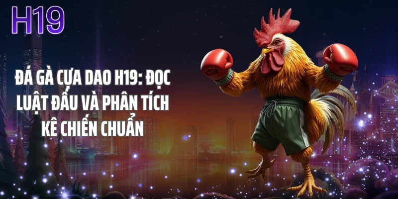 Đá Gà Cựa Dao H19: Đọc Luật Đấu Và Phân Tích Kê Chiến Chuẩn