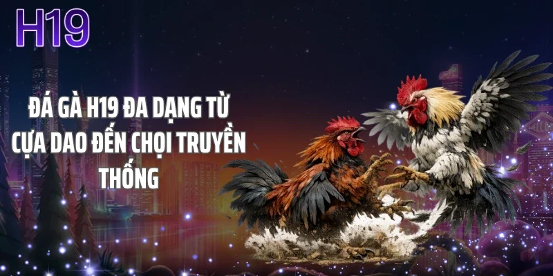 Đá gà H19 đa dạng từ cựa dao đến chọi truyền thống