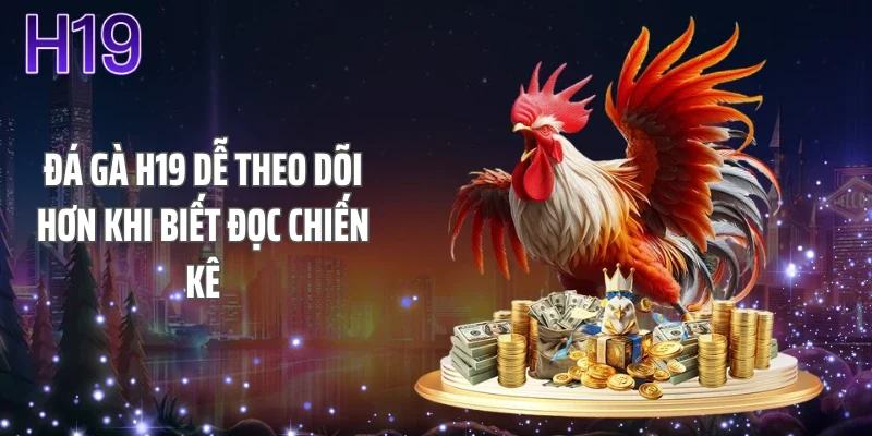 Đá gà H19 dễ theo dõi hơn khi biết đọc chiến kê