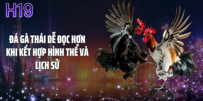 Đá gà Thái dễ đọc hơn khi kết hợp hình thể và lịch sử