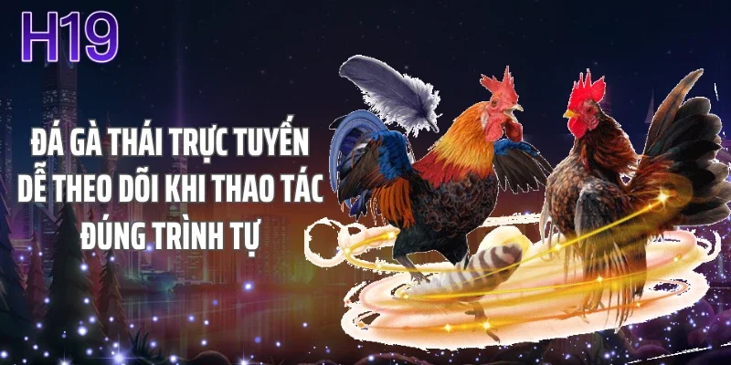 Đá gà Thái trực tuyến dễ theo dõi khi thao tác đúng trình tự