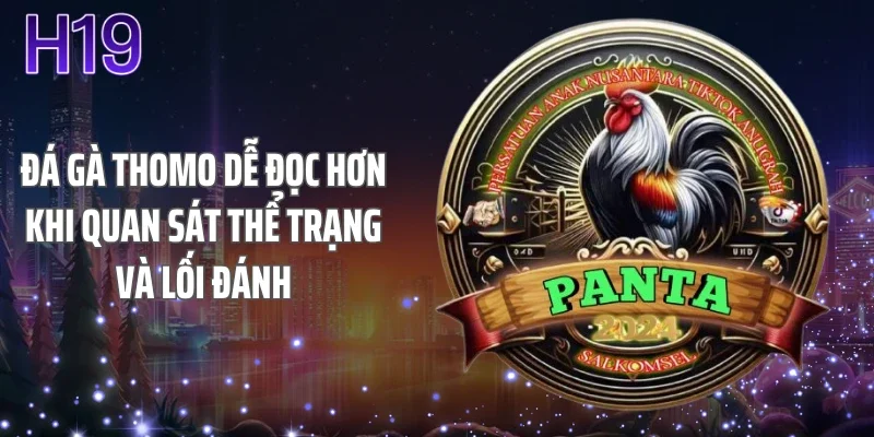 Đá gà thomo dễ đọc hơn khi quan sát thể trạng và lối đánh