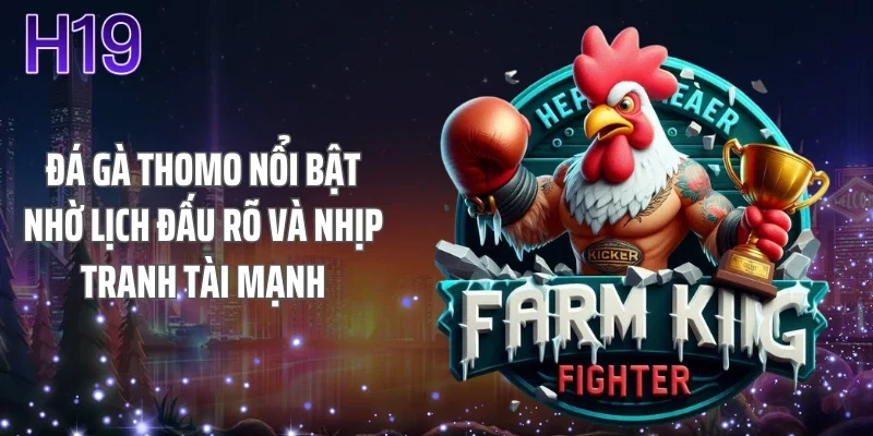 Đá gà thomo nổi bật nhờ lịch đấu rõ và nhịp tranh tài mạnh