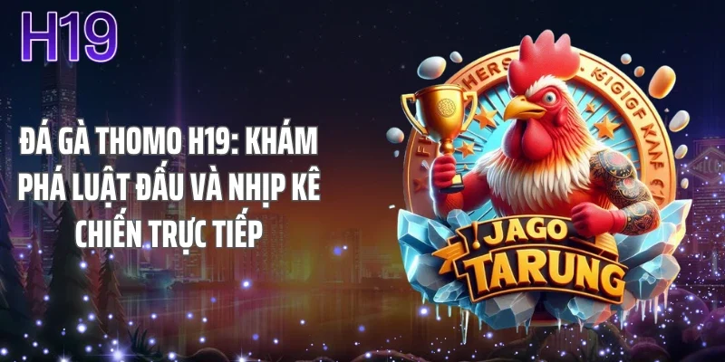 Đá Gà Thomo H19: Khám Phá Luật Đấu Và Nhịp Kê Chiến Trực Tiếp